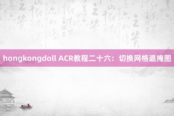 hongkongdoll ACR教程二十六：切换网格遮掩图