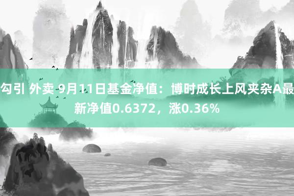 勾引 外卖 9月11日基金净值：博时成长上风夹杂A最新净值0.6372，涨0.36%