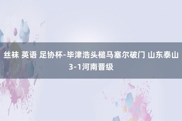 丝袜 英语 足协杯-毕津浩头槌马塞尔破门 山东泰山3-1河南晋级