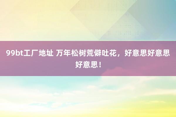 99bt工厂地址 万年松树荒僻吐花，好意思好意思好意思！
