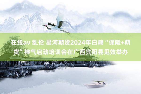 在线av 乱伦 星河期货2024年白糖“保障+期货”神气启动培训会在广西宾阳县见效举办