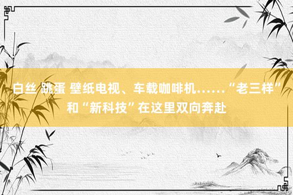 白丝 跳蛋 壁纸电视、车载咖啡机……“老三样”和“新科技”在这里双向奔赴