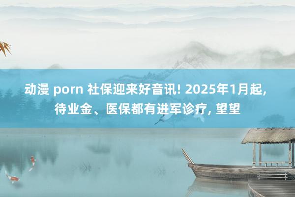 动漫 porn 社保迎来好音讯! 2025年1月起， 待业金、医保都有进军诊疗， 望望
