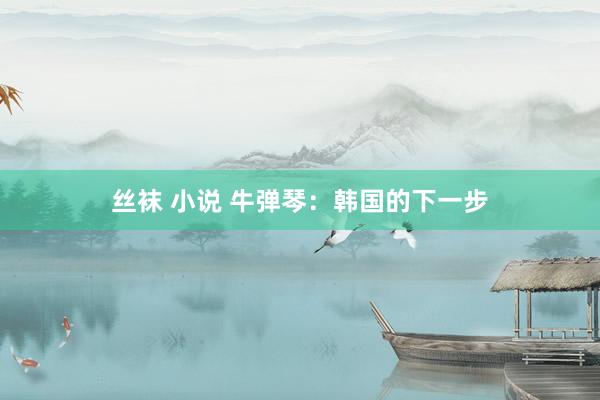 丝袜 小说 牛弹琴：韩国的下一步