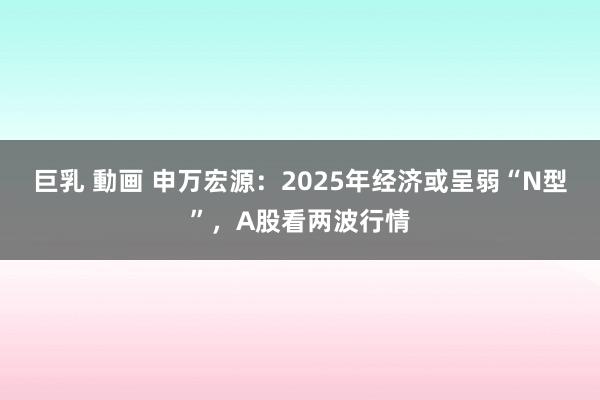 巨乳 動画 申万宏源：2025年经济或呈弱“N型”，A股看两波行情
