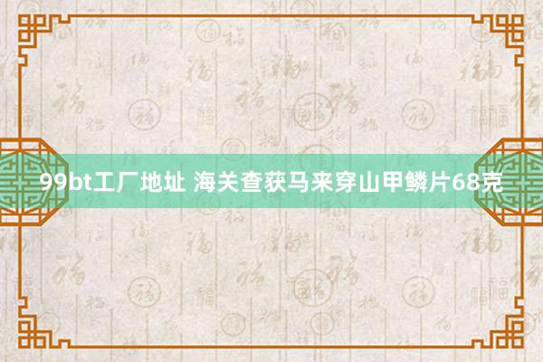 99bt工厂地址 海关查获马来穿山甲鳞片68克