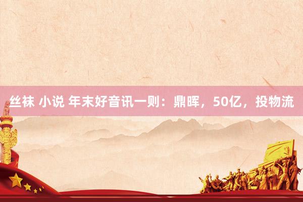 丝袜 小说 年末好音讯一则：鼎晖，50亿，投物流