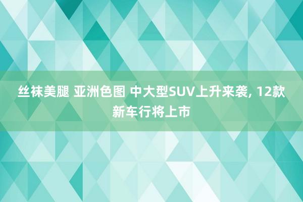 丝袜美腿 亚洲色图 中大型SUV上升来袭， 12款新车行将上市