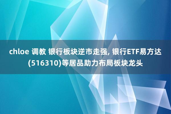 chloe 调教 银行板块逆市走强， 银行ETF易方达(516310)等居品助力布局板块龙头