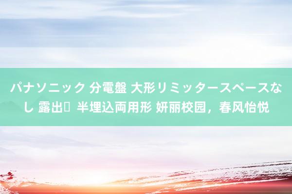 パナソニック 分電盤 大形リミッタースペースなし 露出・半埋込両用形 妍丽校园，春风怡悦