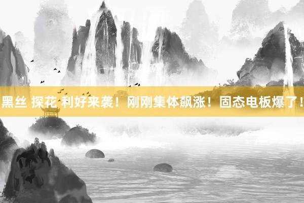 黑丝 探花 利好来袭！刚刚集体飙涨！固态电板爆了！