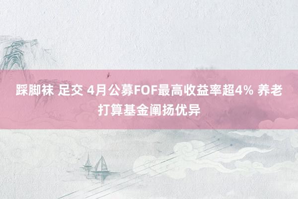 踩脚袜 足交 4月公募FOF最高收益率超4% 养老打算基金阐扬优异