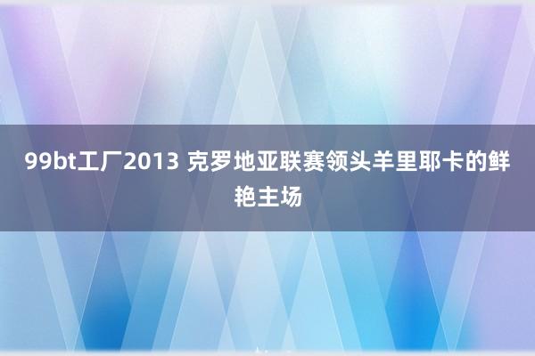 99bt工厂2013 克罗地亚联赛领头羊里耶卡的鲜艳主场