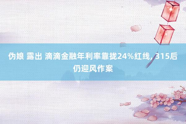 伪娘 露出 滴滴金融年利率靠拢24%红线， 315后仍迎风作案