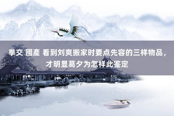 拳交 國產 看到刘爽搬家时要点先容的三样物品，才明显葛夕为怎样此鉴定