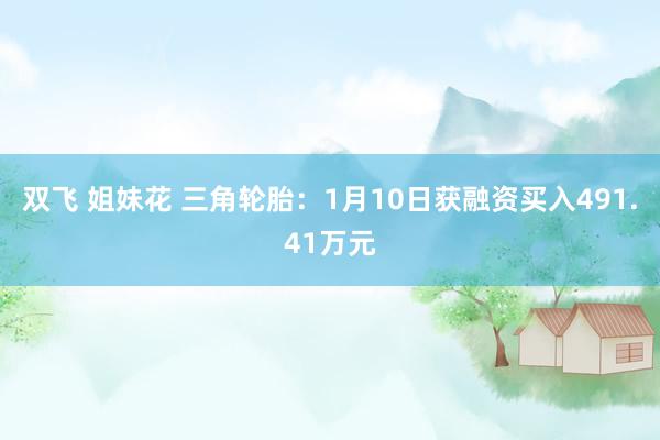 双飞 姐妹花 三角轮胎：1月10日获融资买入491.41万元