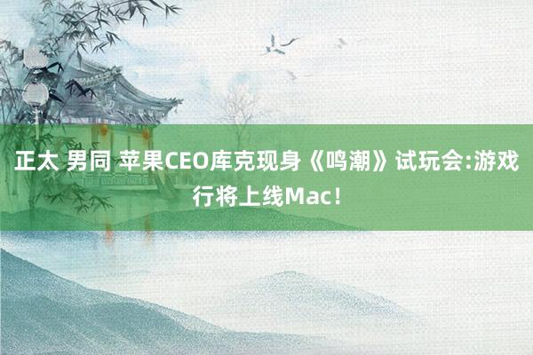 正太 男同 苹果CEO库克现身《鸣潮》试玩会:游戏行将上线Mac！