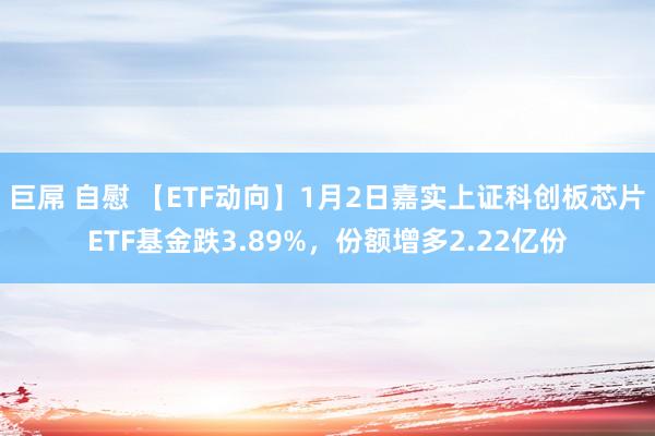 巨屌 自慰 【ETF动向】1月2日嘉实上证科创板芯片ETF基金跌3.89%，份额增多2.22亿份