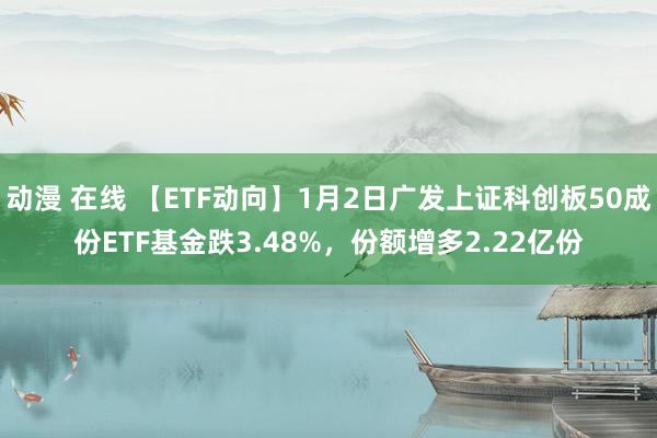 动漫 在线 【ETF动向】1月2日广发上证科创板50成份ETF基金跌3.48%，份额增多2.22亿份