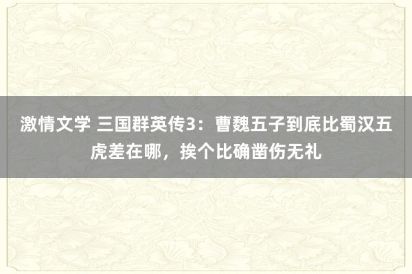 激情文学 三国群英传3：曹魏五子到底比蜀汉五虎差在哪，挨个比确凿伤无礼