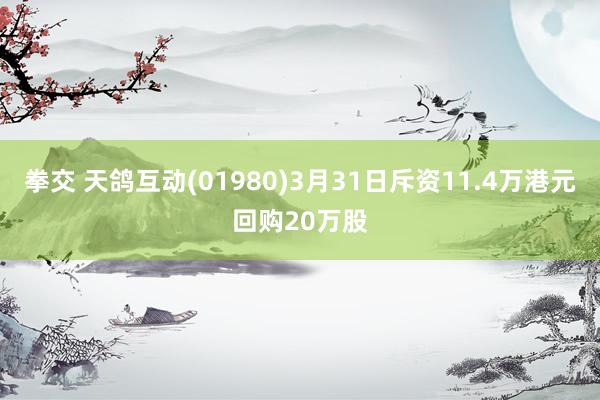 拳交 天鸽互动(01980)3月31日斥资11.4万港元回购20万股