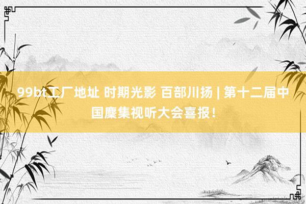 99bt工厂地址 时期光影 百部川扬 | 第十二届中国麇集视听大会喜报！