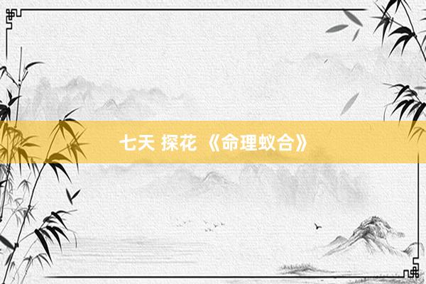 七天 探花 《命理蚁合》