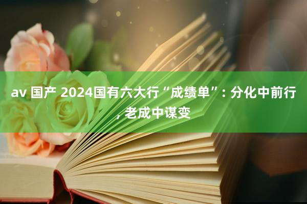 av 国产 2024国有六大行“成绩单”: 分化中前行， 老成中谋变