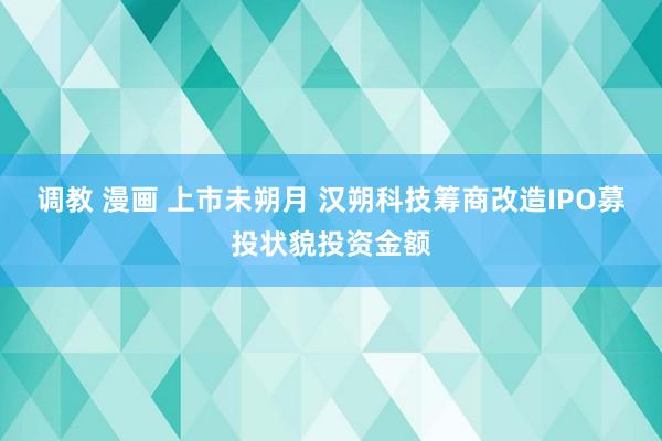 调教 漫画 上市未朔月 汉朔科技筹商改造IPO募投状貌投资金额