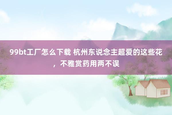 99bt工厂怎么下载 杭州东说念主超爱的这些花，不雅赏药用两不误