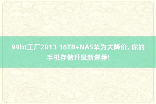99bt工厂2013 16TB+NAS华为大降价， 你的手机存储升级新遴荐!