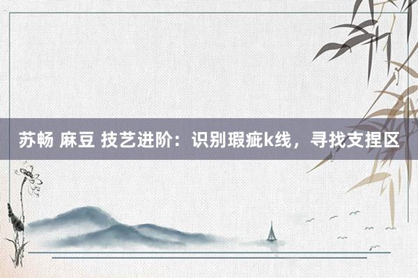 苏畅 麻豆 技艺进阶：识别瑕疵k线，寻找支捏区