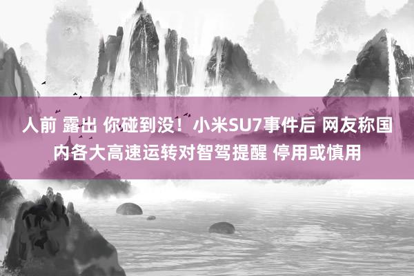 人前 露出 你碰到没！小米SU7事件后 网友称国内各大高速运转对智驾提醒 停用或慎用