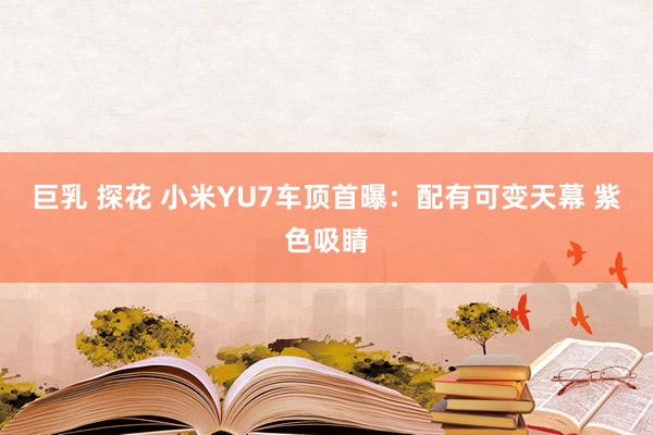 巨乳 探花 小米YU7车顶首曝：配有可变天幕 紫色吸睛