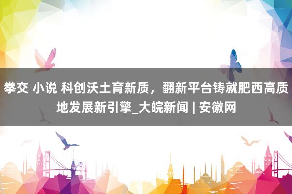 拳交 小说 科创沃土育新质，翻新平台铸就肥西高质地发展新引擎_大皖新闻 | 安徽网