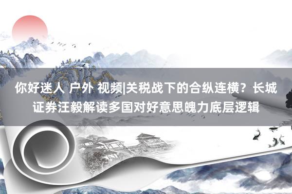 你好迷人 户外 视频|关税战下的合纵连横？长城证券汪毅解读多国对好意思魄力底层逻辑