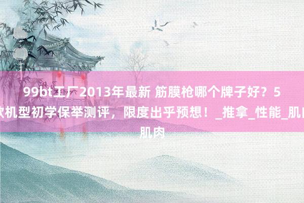 99bt工厂2013年最新 筋膜枪哪个牌子好？5款机型初学保举测评，限度出乎预想！_推拿_性能_肌肉