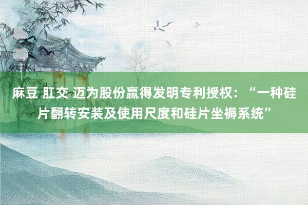 麻豆 肛交 迈为股份赢得发明专利授权：“一种硅片翻转安装及使用尺度和硅片坐褥系统”