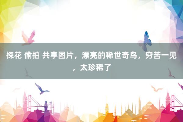 探花 偷拍 共享图片，漂亮的稀世奇鸟，穷苦一见，太珍稀了
