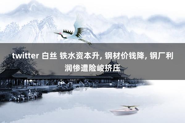 twitter 白丝 铁水资本升， 钢材价钱降， 钢厂利润惨遭险峻挤压