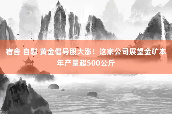 宿舍 自慰 黄金倡导股大涨！这家公司展望金矿本年产量超500公斤