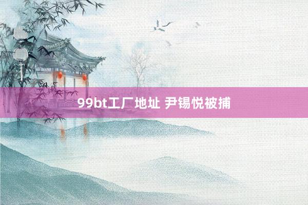 99bt工厂地址 尹锡悦被捕