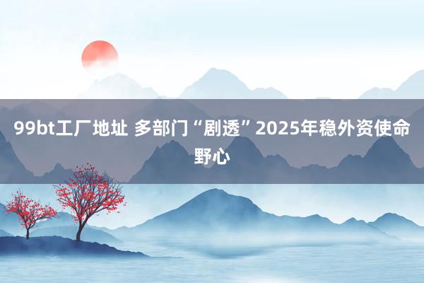 99bt工厂地址 多部门“剧透”2025年稳外资使命野心
