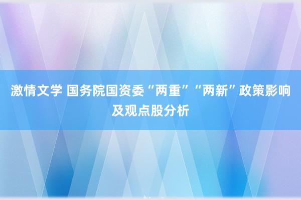 激情文学 国务院国资委“两重”“两新”政策影响及观点股分析