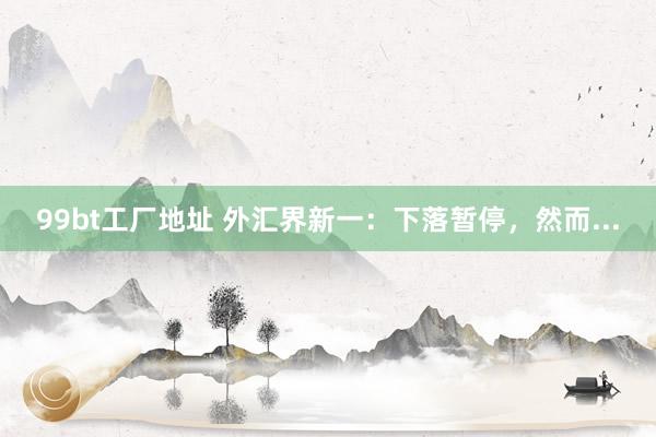 99bt工厂地址 外汇界新一：下落暂停，然而...
