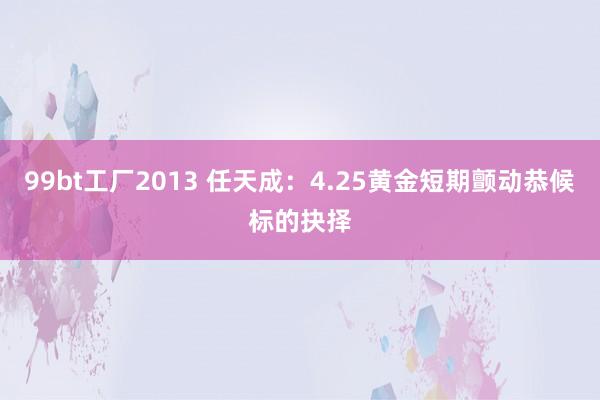 99bt工厂2013 任天成：4.25黄金短期颤动恭候标的抉择