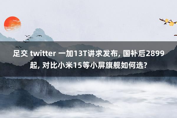 足交 twitter 一加13T讲求发布， 国补后2899起， 对比小米15等小屏旗舰如何选?