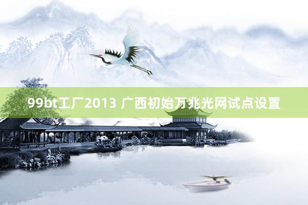 99bt工厂2013 广西初始万兆光网试点设置