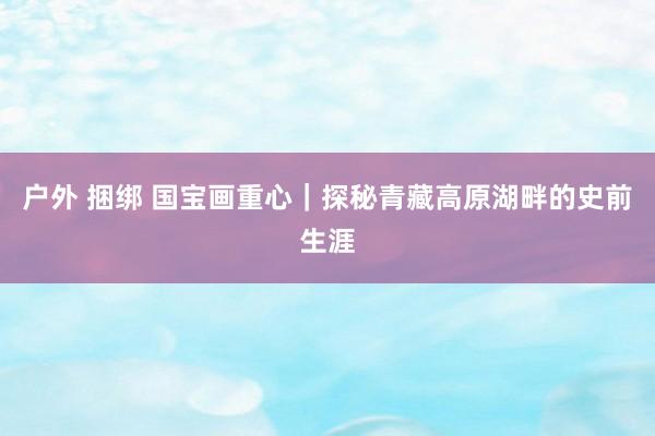 户外 捆绑 国宝画重心｜探秘青藏高原湖畔的史前生涯