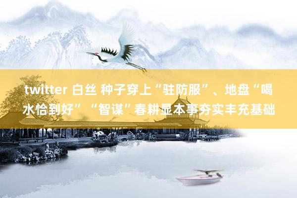 twitter 白丝 种子穿上“驻防服”、地盘“喝水恰到好” “智谋”春耕显本事夯实丰充基础